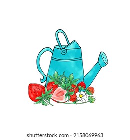 Vector watering can and strawberry with white background.