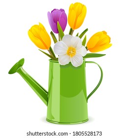 Vektorwasserdose mit Tulpen einzeln auf weißem Hintergrund