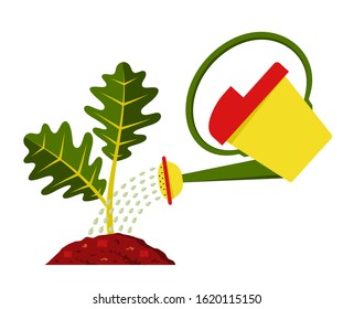 vector watering young oak tree isolated on white background