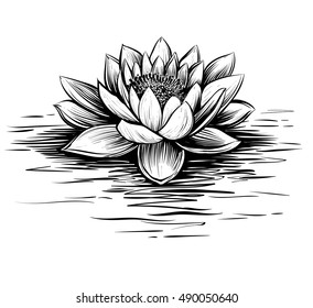 Vector waterlily with water waves. Lotus illustration. Black and white graphic art line. Linocut style.