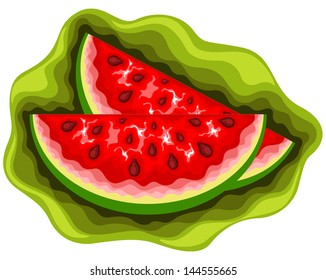 Vector watermelon