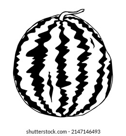 Vector watermelon clipart. Hand drawn watermelon outline icon. Fruit illustration isolated on white background. For print, web, design, decor, logo.