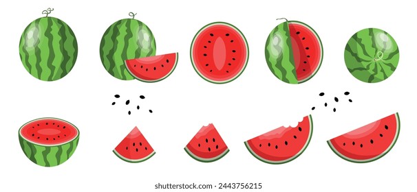 Vector Watermelon collection isolated on white background. Fresh watermelon fruit set design elements. Fresh whole, cut and sliced watermelon set Juicy fruit. Vector design elements or background.