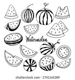 Vector Watermelon para el diseño de café, restaurante.