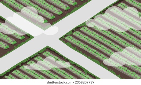 Vector Watermelon field viewed from above