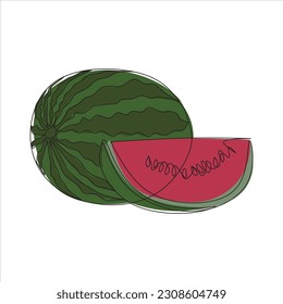 Vector watermelon fruit drawing of one continuous line. Color illustration of watermelon fruit in the style of one line art