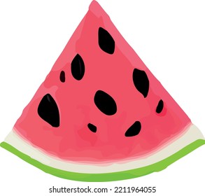 Vector watermelon. Fruit illustration . Healthy food design