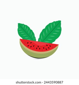 Vector watermelon fruit and leaves isolated white background.