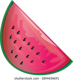 Vector watermelon half part icon art illustration design