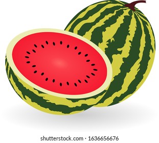 Vector watermelon icon with shadow isolated on white background. Fresh and juicy whole and half watermelon.