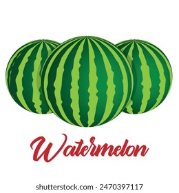 Vector watermelon illustration. 3d cartoon watermelon.