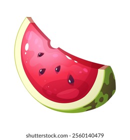 Vector watermelon illustration. Juicy fruit