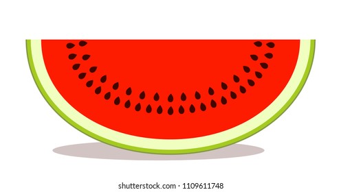 vector watermelon isolated on white background
