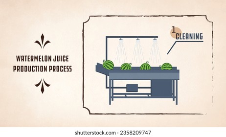 Vector Watermelon juice production process steps cleaning