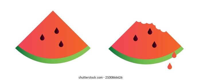 Vector watermelon. Premium quality vector graphics for your business.