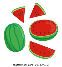 Vector watermelon set. Juicy sliced watermelon in flat style isolated on white background