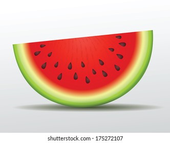 Vector watermelon slice. Isolated