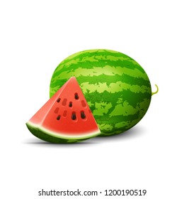 vector watermelon with watermelon slice . isolated on white background