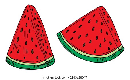 Cortes de sandía vectorial aisladas en blanco con semillas. Dibujo lindo.