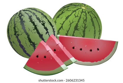 Vector watermelon, whole and sliced