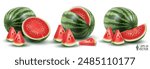 Vector watermelon, whole and slices, isolated on a white background. Realistic set of natural fresh fruits. 3D food illustration, design element for packaging and advertising