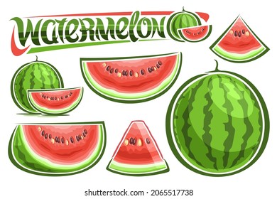 Vector Watermelons Set, lot collection of cut out illustrations fruit still life composition, cartoon design sliced natural watermelons, unique brush lettering for word watermelon on white background.