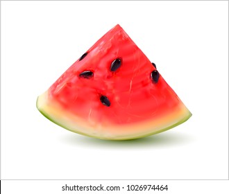 Vector watermelon.Vector illustration of a slice of watermelon.