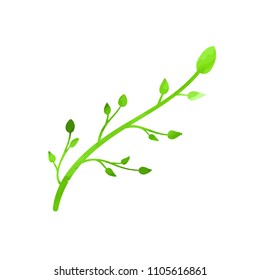 Vector Wateroclor Texture Green Plant, Floral Design Element Isolated on White Background.