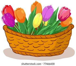 Vector, wattled basket with flowers tulips and green leaves