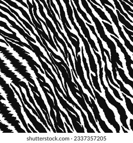 Vector wavy black and white zebra fur texture vector illustration.