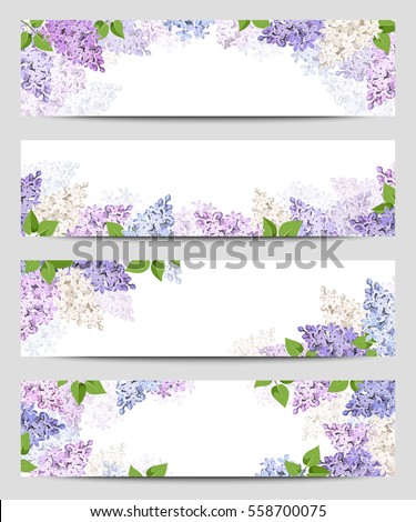 Similar – Image, Stock Photo purple lilac Violet Spring