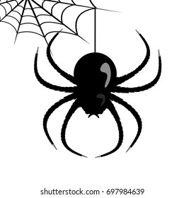 Vector web and huge spider on a white background.