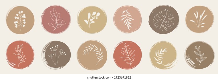 Vector web icons. Abstract organic story highlight cover templates isolated on white background. Botanical illustration in neutral earth tone terracotta burnt orange colors. Hipster design elements