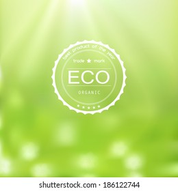 Vector web and mobile interface background. Corporate website design.