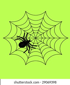 Vector web spider to green isolated background