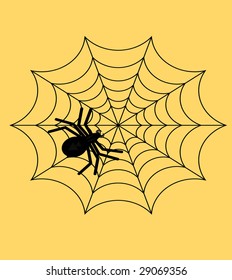 Vector web spider to yeloow isolated background