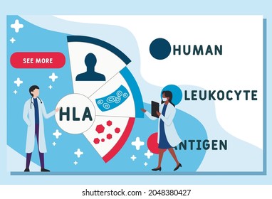 Plantilla de diseño de sitios web vectores. HLA - Acrónimo de Antígeno Leucocito Humano. concepto médico. ilustración para banner de sitio web, materiales de marketing, presentación de negocios, publicidad en línea.