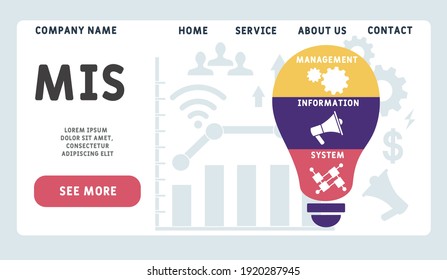 Vector website design template . MIS - Management Information System. business concept background. illustration for website banner, marketing materials, business presentation