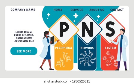 Vector website design template . PNS - Peripheral Nervous System acronym. business concept background. illustration for website banner, marketing materials, business presentation, online advertising