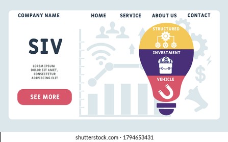 Vector website design template . SIV - structured investment vehicle illustration for website banner, marketing materials, business presentation, online advertising.
