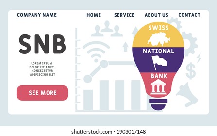 Vector website design template . SNB - Swiss National Bank acronym. business concept background. illustration for website banner, marketing materials, business presentation, online advertising. 