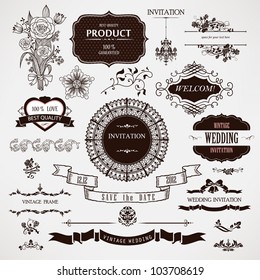 Vector wedding design elements and calligraphic page decoration