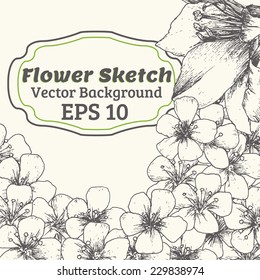 Vector wedding invitation card. flower illustration
