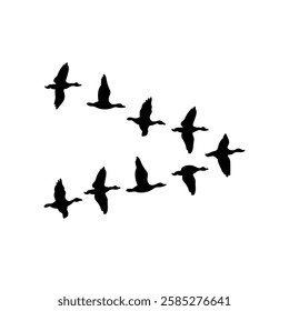 Vector Wedge of Geese Black Silhouette Icon Isolated on White Background