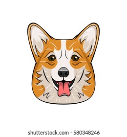Vector welsh corgi dog face. Illustration isolated on white background