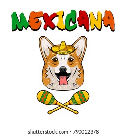 Vector welsh corgi dog face with sombrero, maracas and whiskers icon. Mexicana. Vector illustration isolated on white background.