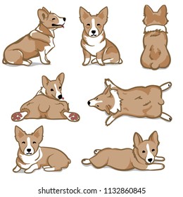 Vector Welsh Corgi Drawings