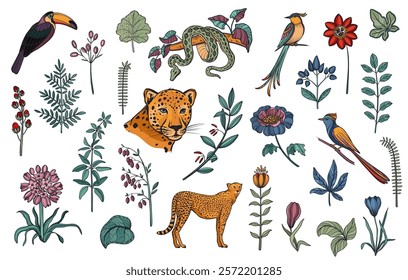 Vector wet of wild animals, tropical plants and flowers, toucan, exotic birds.