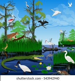 vector wetland Pantanal Florida Everglades landscape with animals