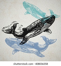 Vector Whale animals in abstract composition. Linocut whales in different colors on the old paper
